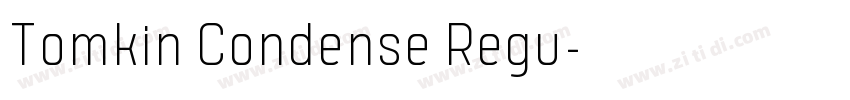 Tomkin Condense Regu字体转换